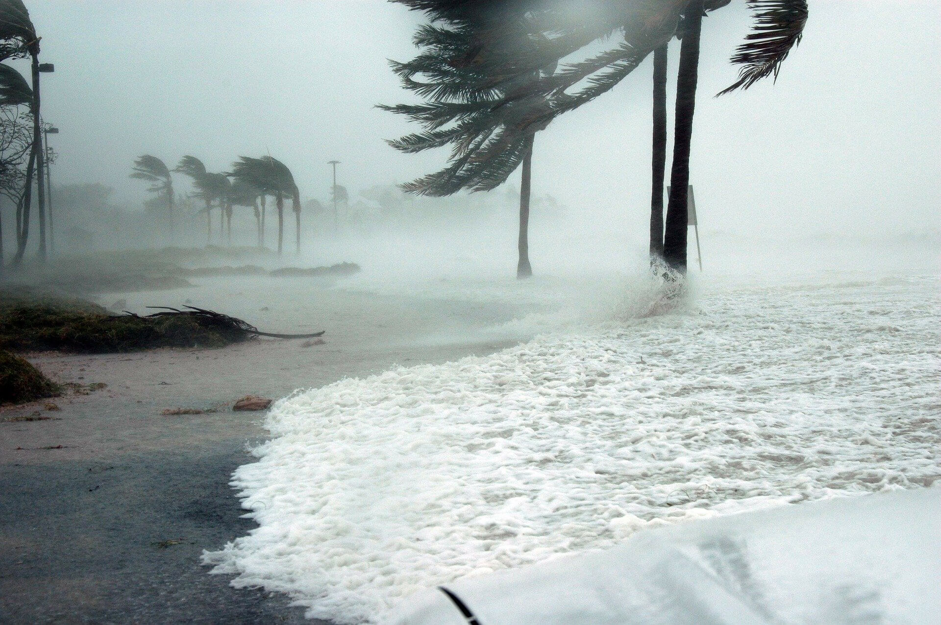 Hurricane Irma Claim: The Window to File Is Closing