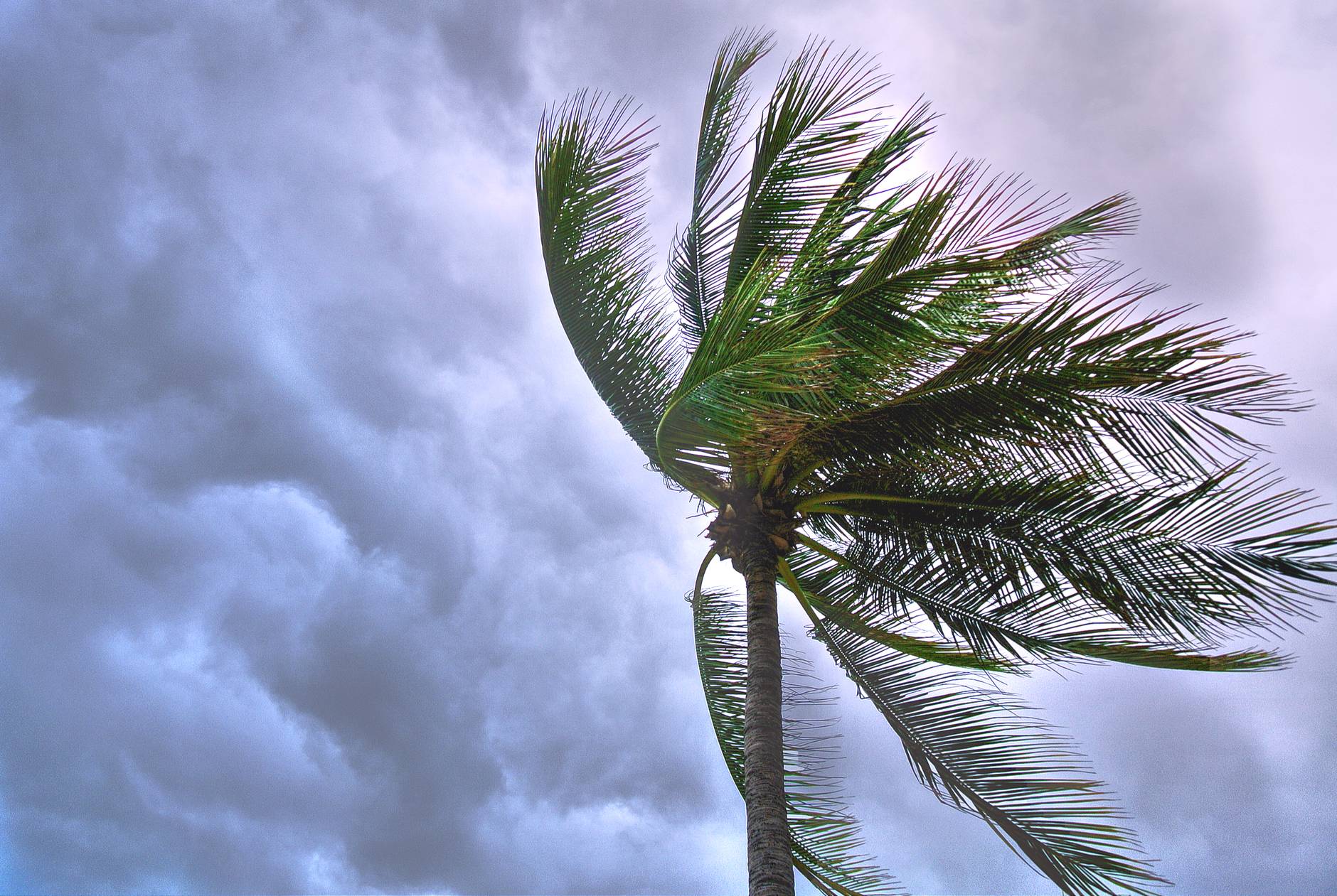 Florida Hurricane Season 2020 Is Going to Be Busy, Possibly Destructive According to Experts